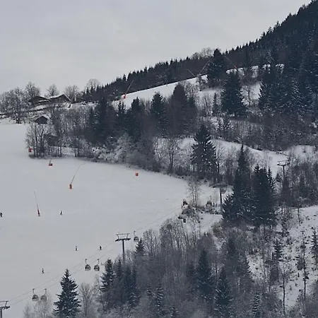 Lisa - By Alpen * 滨湖采尔